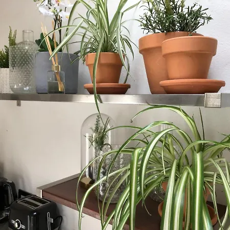 Sala Botanica - Shared Pool - Island Location - 10 Mins Drive To Famara And La Santa Apartmán Tiagua