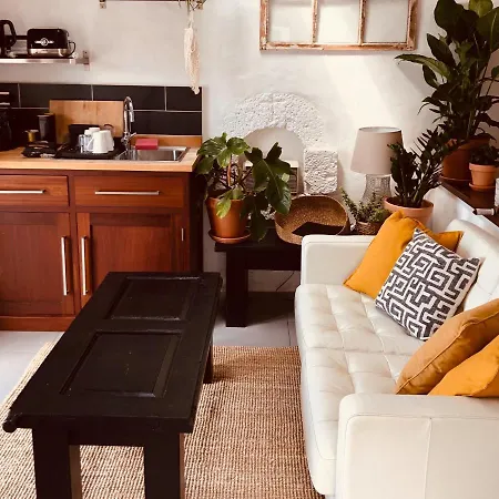 Sala Botanica - Shared Pool - Island Location - 10 Mins Drive To Famara And La Santa Apartmán