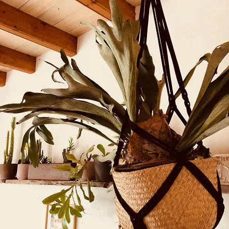 Finca Tiagua Casa rural *